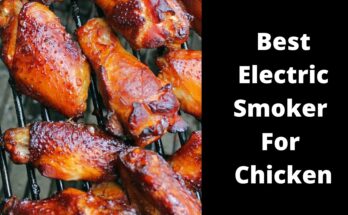 Best Electric Smoker For Chicken
